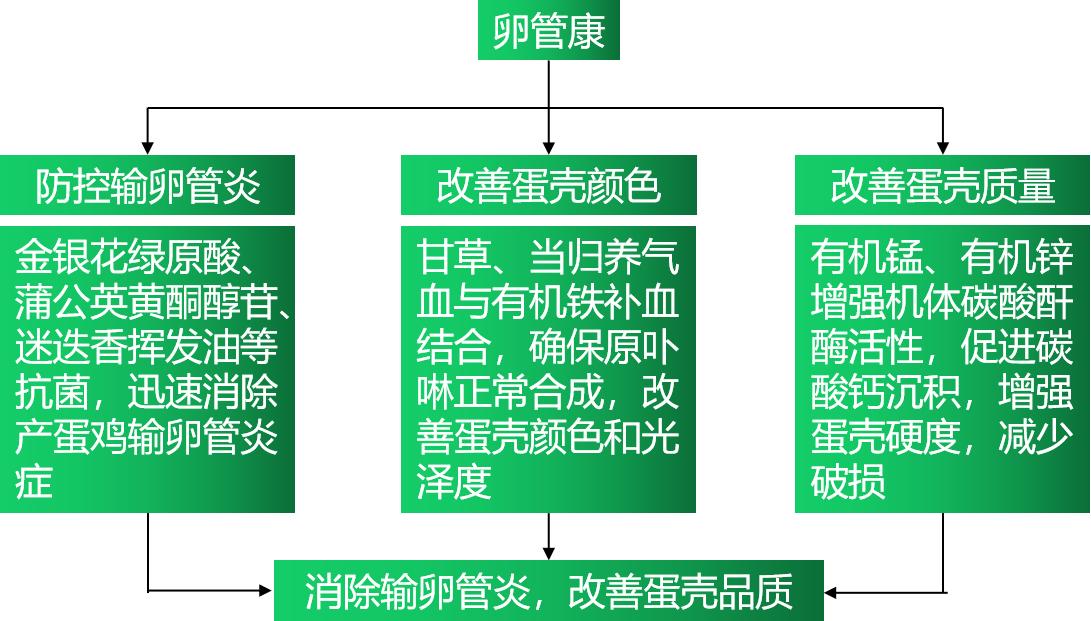 6115bcc7f0f4b 6115bcc7f0f4b