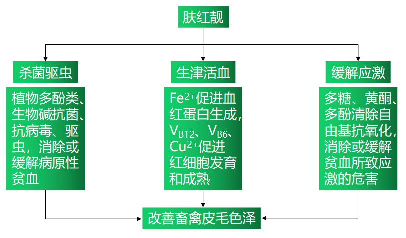 6115c745acebc 6115c745acebc