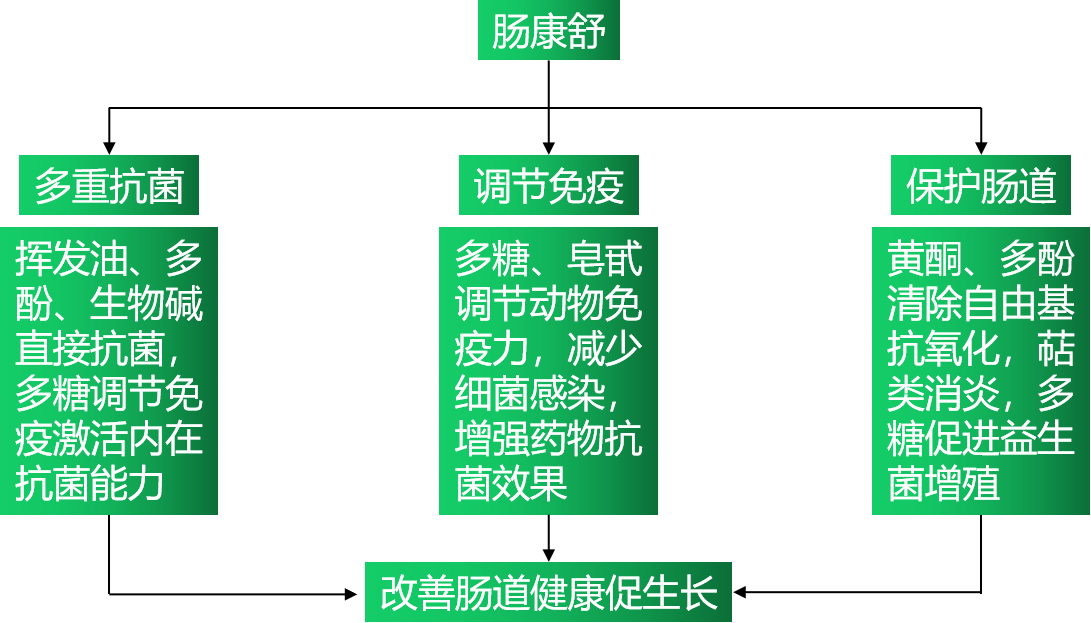 6115ca0dae419 6115ca0dae419