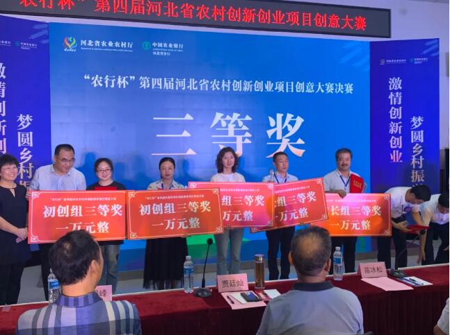 NG官网 - 相信品牌的力量