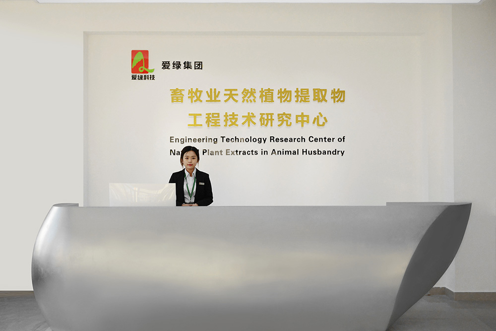 NG官网 - 相信品牌的力量