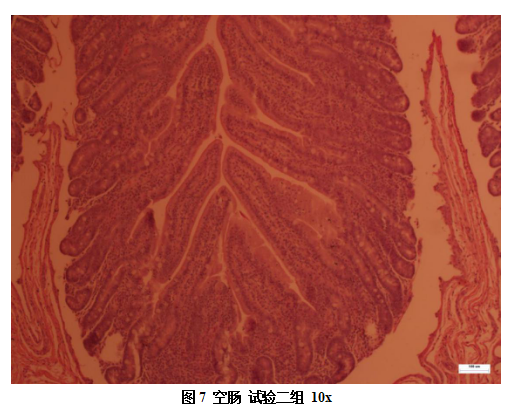 61dfb8ef35547