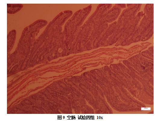 61dfb8f12faf3