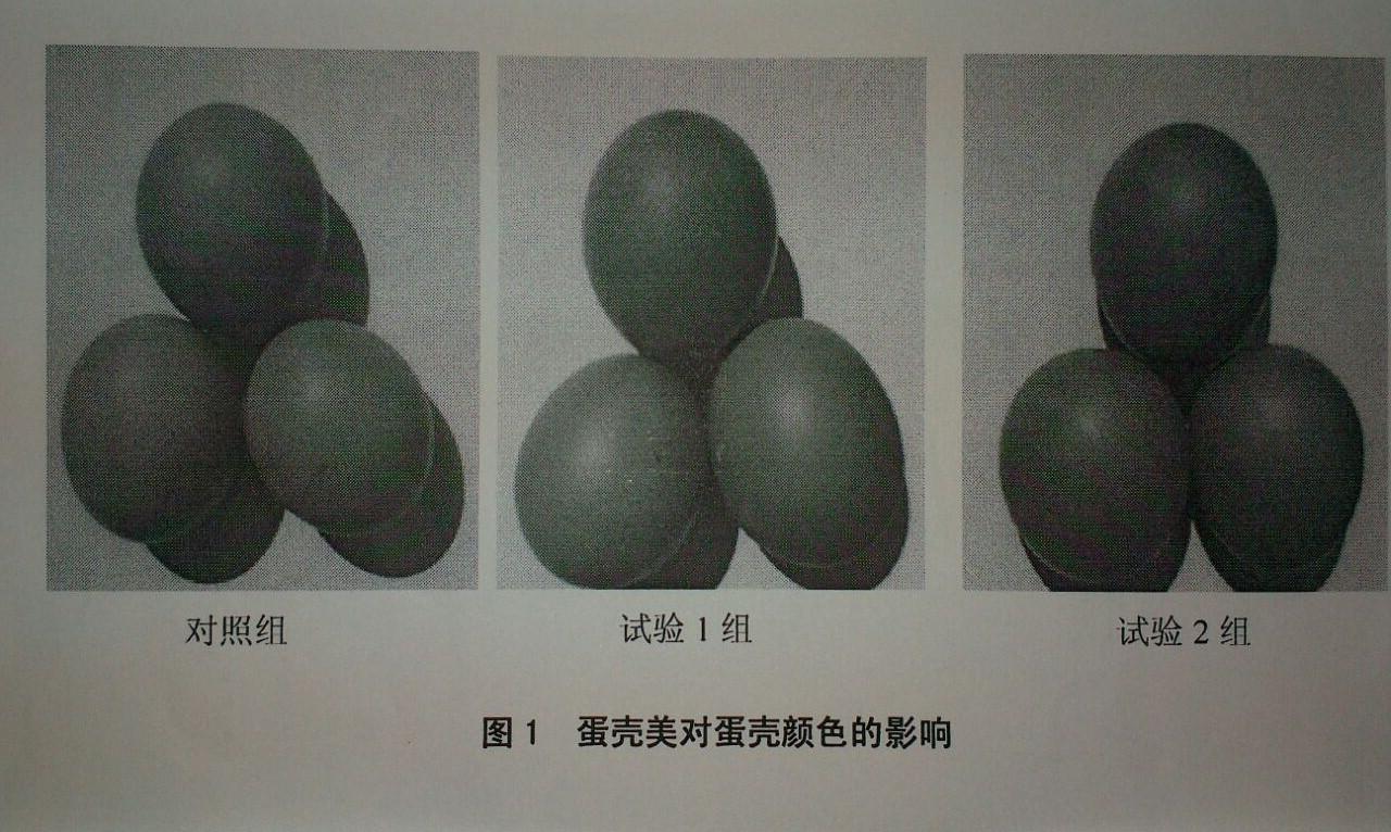 NG官网 - 相信品牌的力量