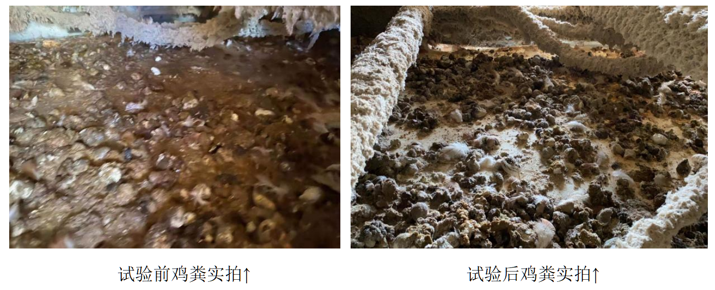 NG官网 - 相信品牌的力量