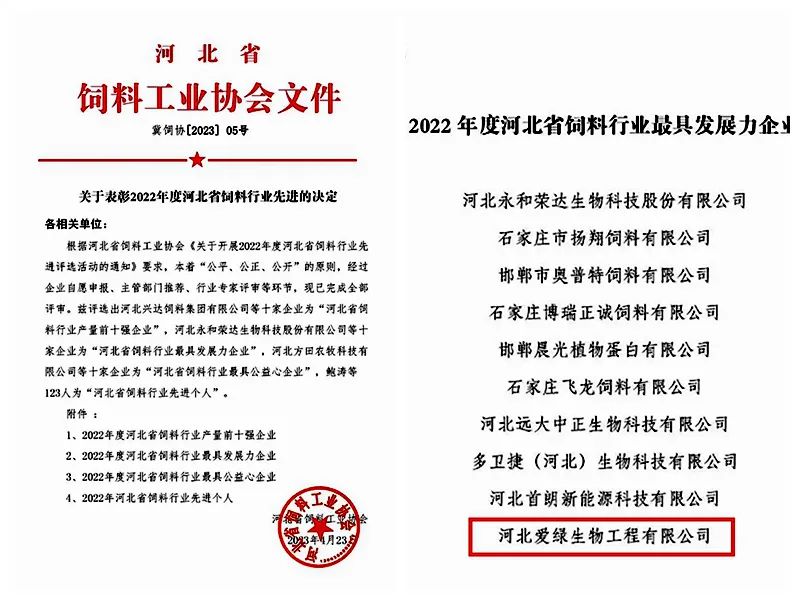 NG官网 - 相信品牌的力量