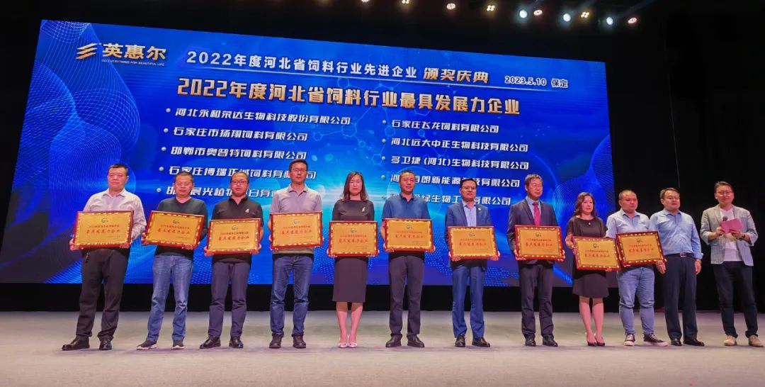NG官网 - 相信品牌的力量