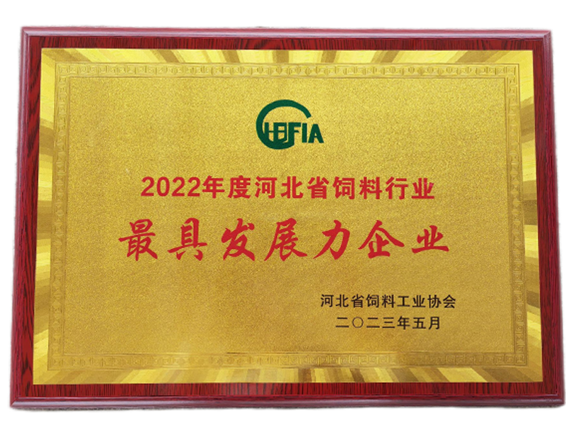 NG官网 - 相信品牌的力量