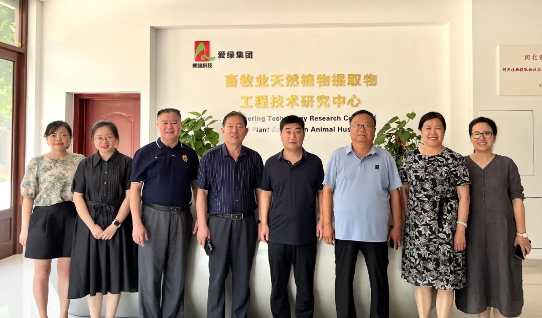 NG官网 - 相信品牌的力量